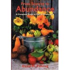 From Scarcity To Abundance by David M Ponting